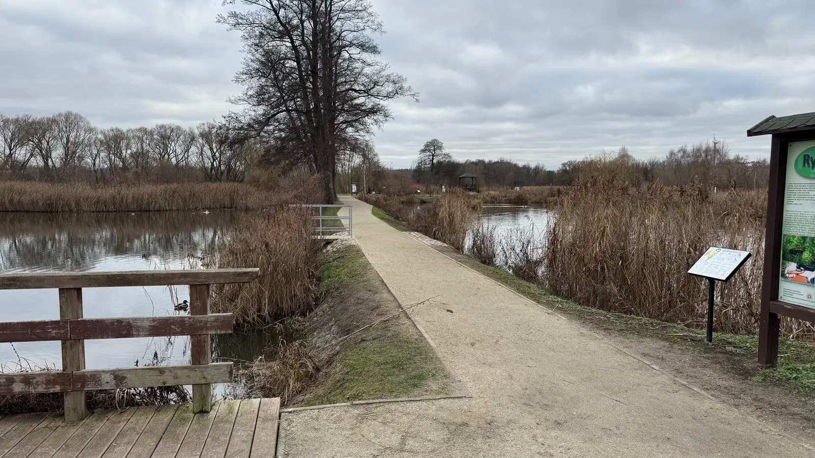 Gdzie na spacer z psem w Białymstoku?