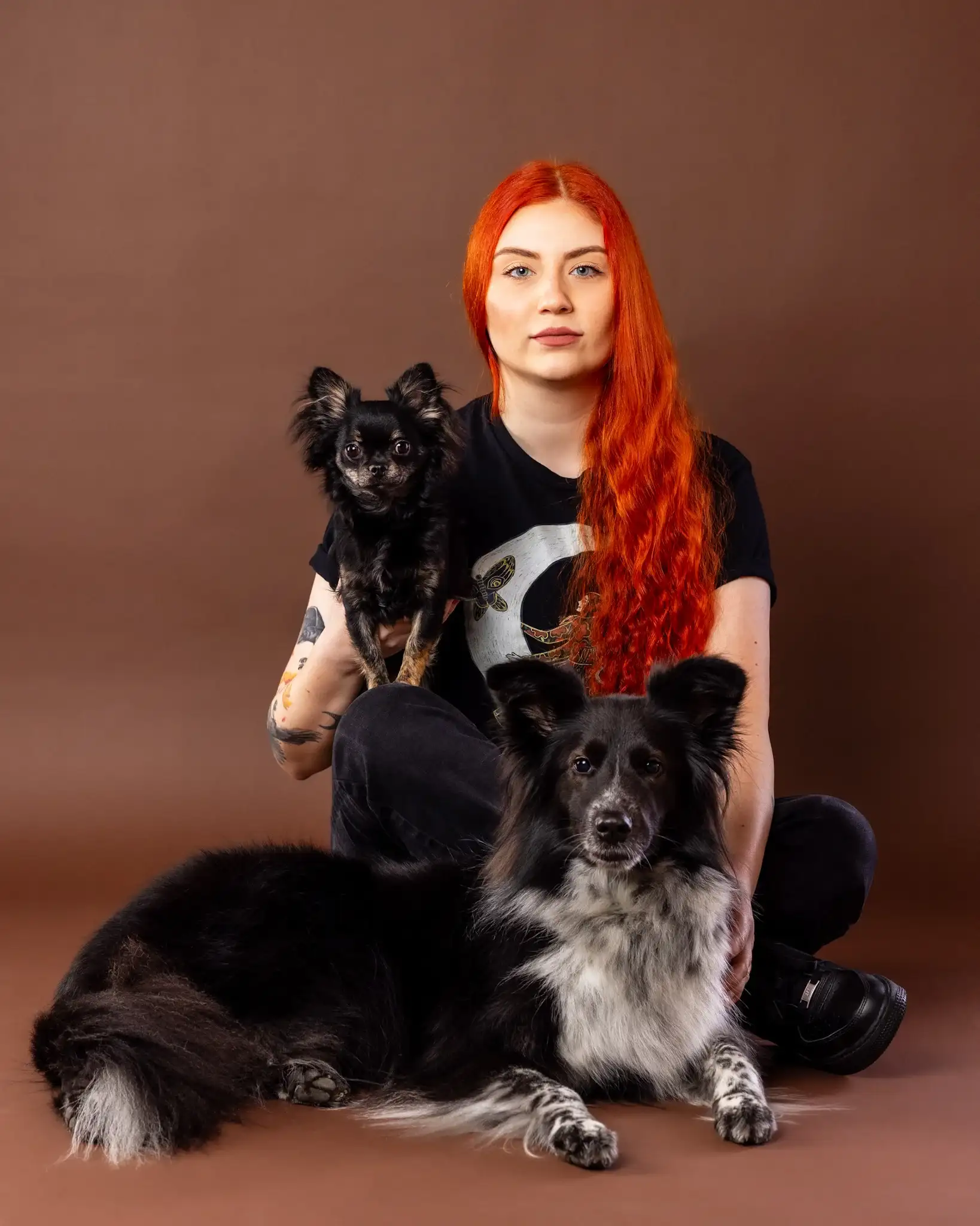 Psy w studio ZwierzoKadr - profesjonalna sesja fotograficzna