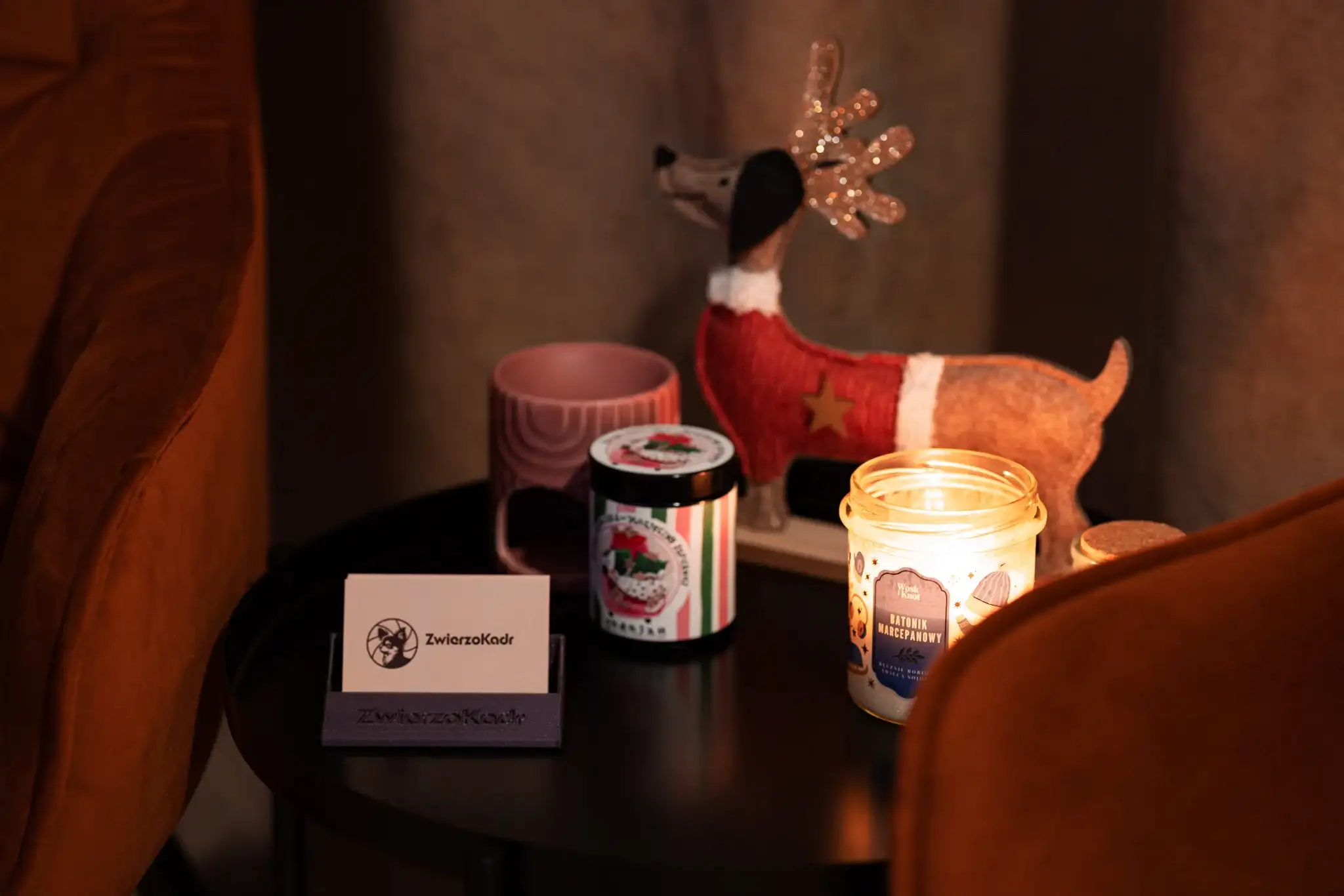 Studio fotograficzne dla zwierząt Białystok