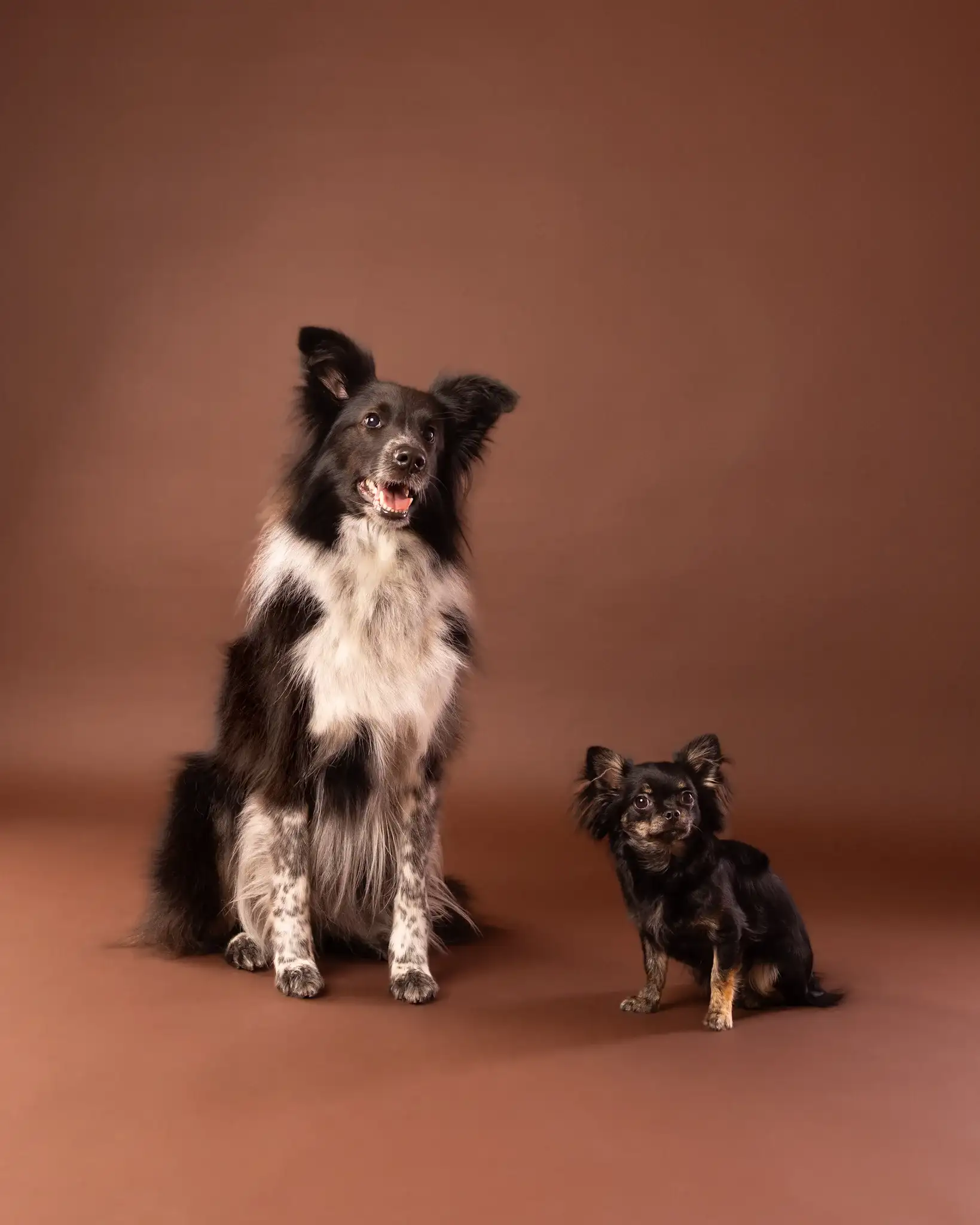 Verna i Aria w studio