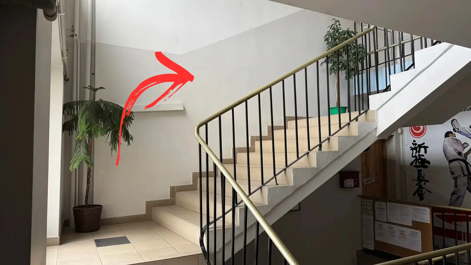 Wejście do studia — drzwi po prawej